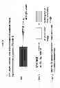 Fig. 22 - METHODS FOR DIAGNOSING DISEASES AND EVALUATING TREATMENTS THEREFOR USING PET