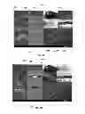 Fig. 09 - Distributed cloud services system and uses thereof