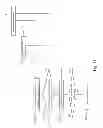 Fig. 10 - ORDER MANAGEMENT SYSTEM AND ORDER MANAGEMENT METHOD THEREOF