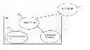 Fig. 01 - METHOD AND SYSTEM FOR SHARING INFORMATION BETWEEN A PLURALITY OF USERS IN A SOCIAL NETWORKING SERVICE