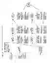 Fig. 07 - TRADING STYLE AUTOMATED ANALYSIS AND REVERSE ENGINEERING