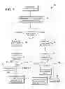Fig. 07 - System and Method for Smart Hedging in an Electronic Trading Environment