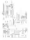 Fig. 05 - METHOD FOR DEBIT CARD AND CHECKING ACCOUNT AUTODRAW
