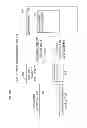 Fig. 13 - METHOD FOR DEBIT CARD AND CHECKING ACCOUNT AUTODRAW