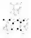 Fig. 09 - Electronic content sharing