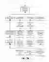 Fig. 08 - SHARING CONTENT IN SOCIAL NETWORKS