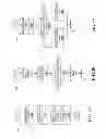 Fig. 34 - SHARING CONTENT IN SOCIAL NETWORKS