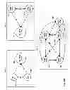 Fig. 06 - Dynamically generating application-layer traffic optimization protocol maps