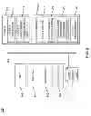 Fig. 03 - Dynamic generation of policy enforcement rules and actions from policy attachment semantics