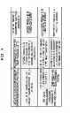 Fig. 07 - INFORMATION PROCESSING SYSTEM, METHOD AND COMPUTER-READABLE RECORDING MEDIUM