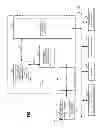 Fig. 02 - Conditional prefetching