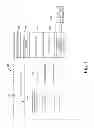 Fig. 02 - Self-disabling working set cache