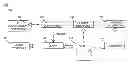 Fig. 01 - Dynamic scenario testing of web application