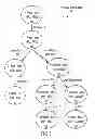 Fig. 06 - Efficient model checking technique for finding software defects