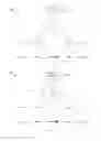 Fig. 04 - Dynamic virtual machines migration over information centric networks