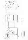 Fig. 05 - Distributed live multimedia switching mechanism and network