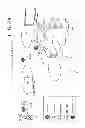 Fig. 40 - Reception apparatus, reception method, transmission apparatus, and transmission method