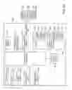 Fig. 22 - Distributed rendering synchronization control for display clustering