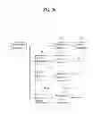 Fig. 17 - DTV receiving system and method of processing DTV signal