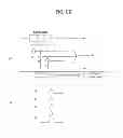 Fig. 27 - DTV receiving system and method of processing DTV signal