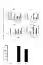 Fig. 07 - Method for inducing hepatocellular variation, and production method for chimeric non-human animal having humanized liver