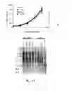 Fig. 02 - MODIFIED PLANTS WITH INCREASED OIL CONTENT