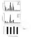Fig. 04 - MODIFIED PLANTS WITH INCREASED OIL CONTENT