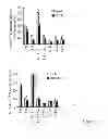 Fig. 08 - MODIFIED PLANTS WITH INCREASED OIL CONTENT