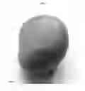 Fig. 03 - Mango tree named  'NOA'