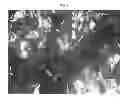 Fig. 02 - ANDES NEC-3