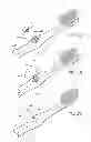 Fig. 08 - Illuminated flashing toothbrush and method of use