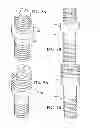 Fig. 06 - DECORATIVE CHARM AND SCREW ATTACHMENT FOR USE WITH AN EYEGLASS FRAME