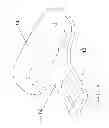 Fig. 09 - INSERTION TONGUE
