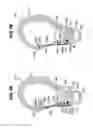 Fig. 08 - Snap hook