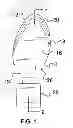 Fig. 02 - Shoe Sole Covering Assembly