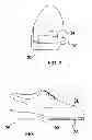 Fig. 04 - Shoe Sole Covering Assembly