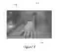 Fig. 22 - Sustained Release Delivery Devices