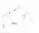 Fig. 02 - Door protector