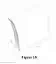 Fig. 08 - Rain Gutter System For Mounting Atop a Roof