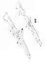 Fig. 09 - Quick-change blade system
