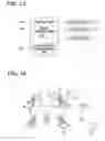 Fig. 09 - Mass measurement device