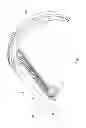Fig. 02 - BLANKET TENSIONING DEVICE