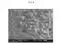 Fig. 07 - Method for producing electrode covered with sodium metal