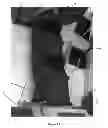 Fig. 09 - Animal Enclosure