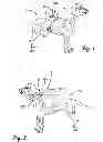 Fig. 02 - Animal indicator apparatus