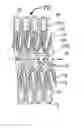 Fig. 01 - Linearly retractable pressure hose structure