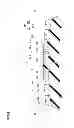 Fig. 09 - Pneumatic tire