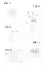 Fig. 02 - PROCESS FOR OBTAINING MAGNETIC CELLULOSE PAPER AND THE RESPECTIVE PRODUCT