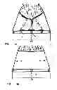 Fig. 05 - Method for the Preparation and Improvement of Horseshoes