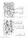 Fig. 02 - PTFE MEMBRANE